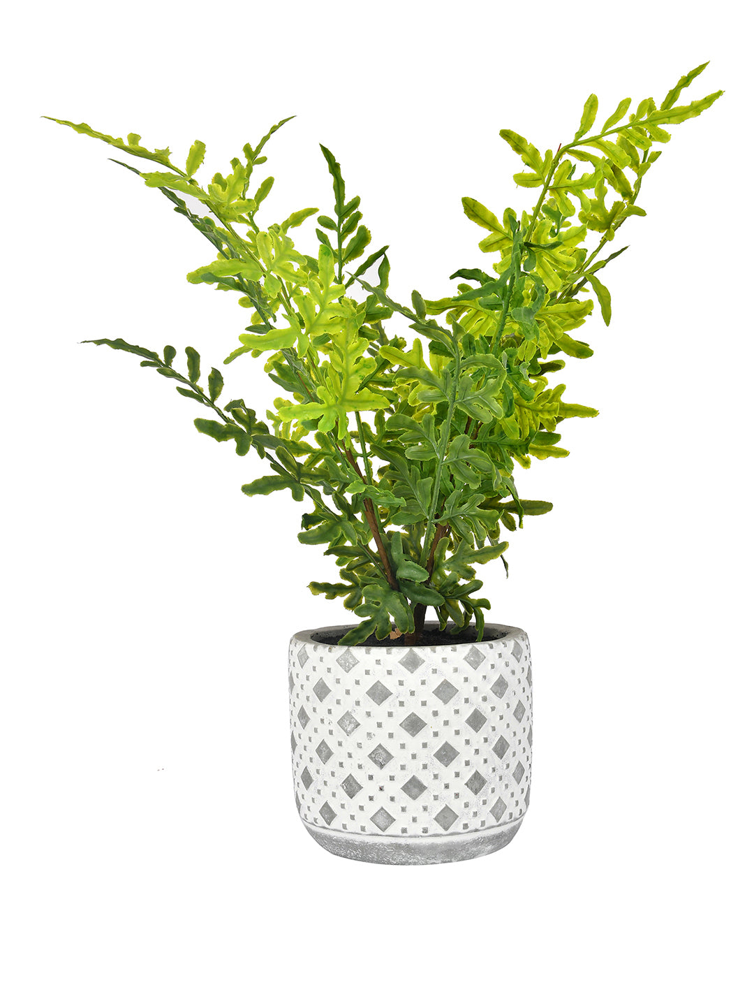 Diamon Patterned Pot with Artificial Fern