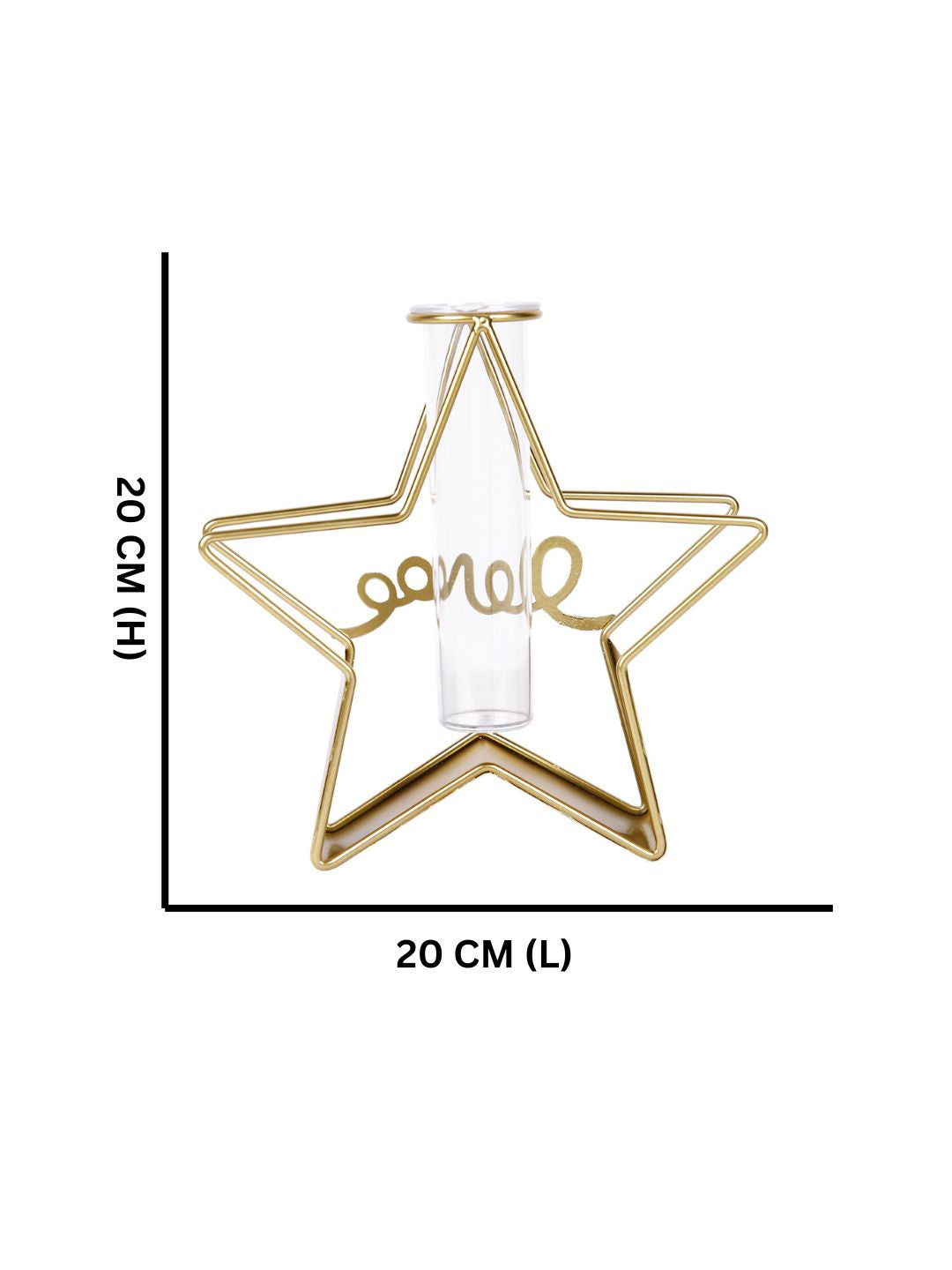 Transparent Metal & Glass Star Shaped Flower Vase