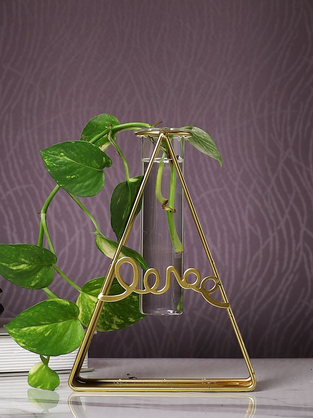 Transparent Metal & Glass Tube Flower Vase