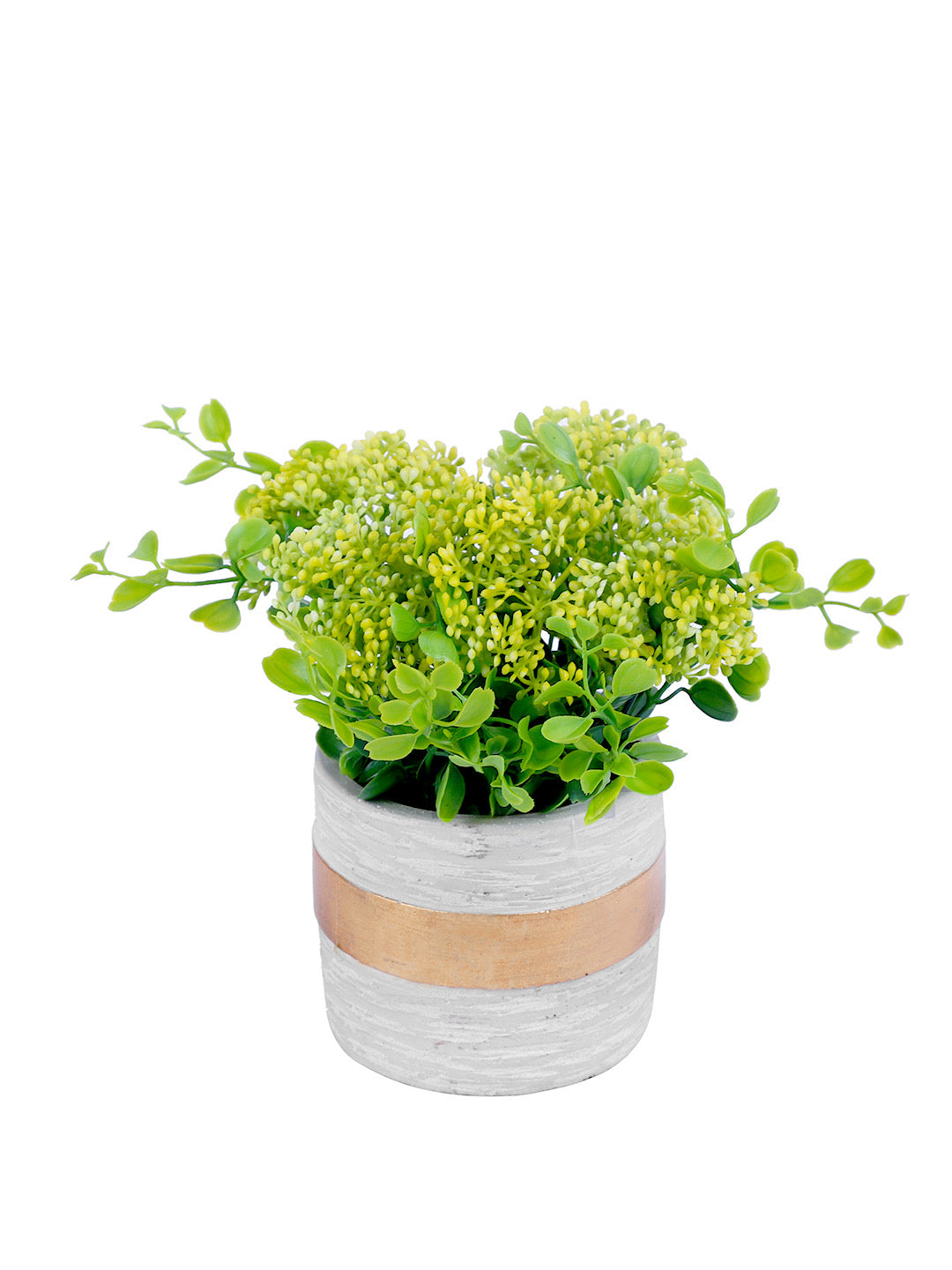 Verdant and Colourful Leafy House Plant-Yellow - Default Title (APL2078YE)