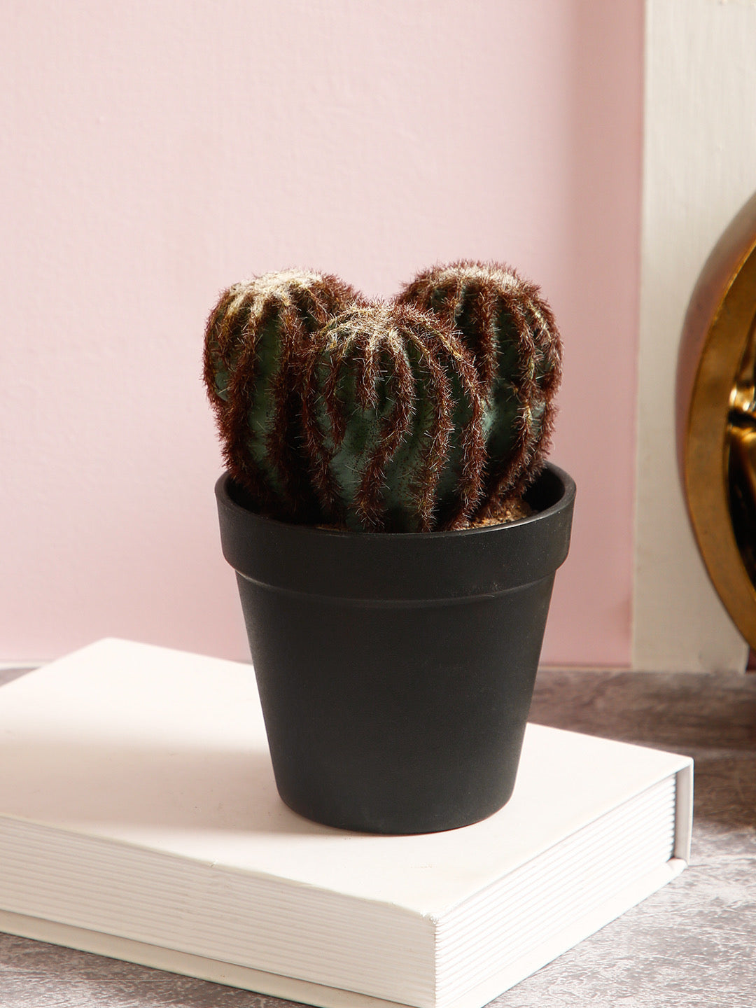 Close to nature Artificial cactus Plant for Interior Décor - Default Title (APL2118294)