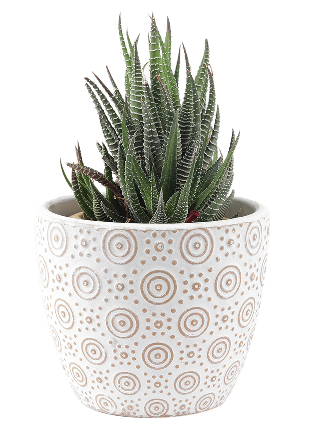 White Ceramic Pot - Default Title (CH210065)