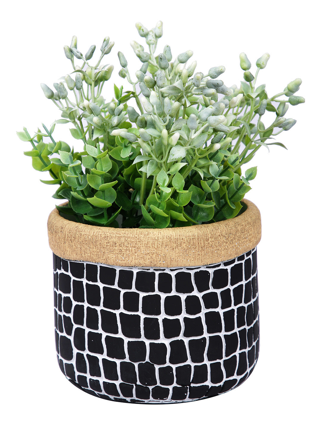Black Ceramic Planter - Default Title (CHC22458)