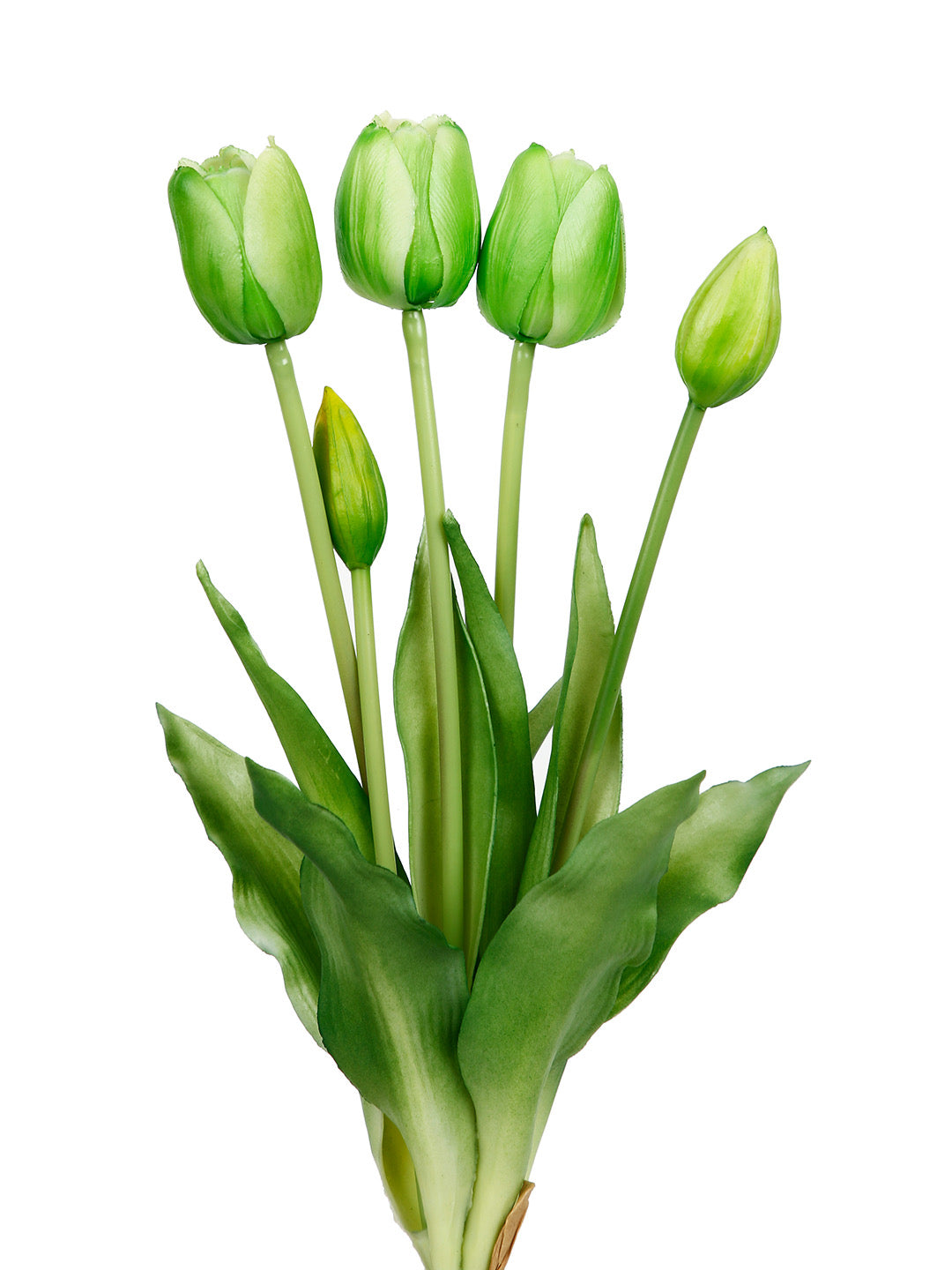 Set of 5 Alluring bunch of Real alike Tulip Flowers and Buds in Green - Default Title (FL21205GR)