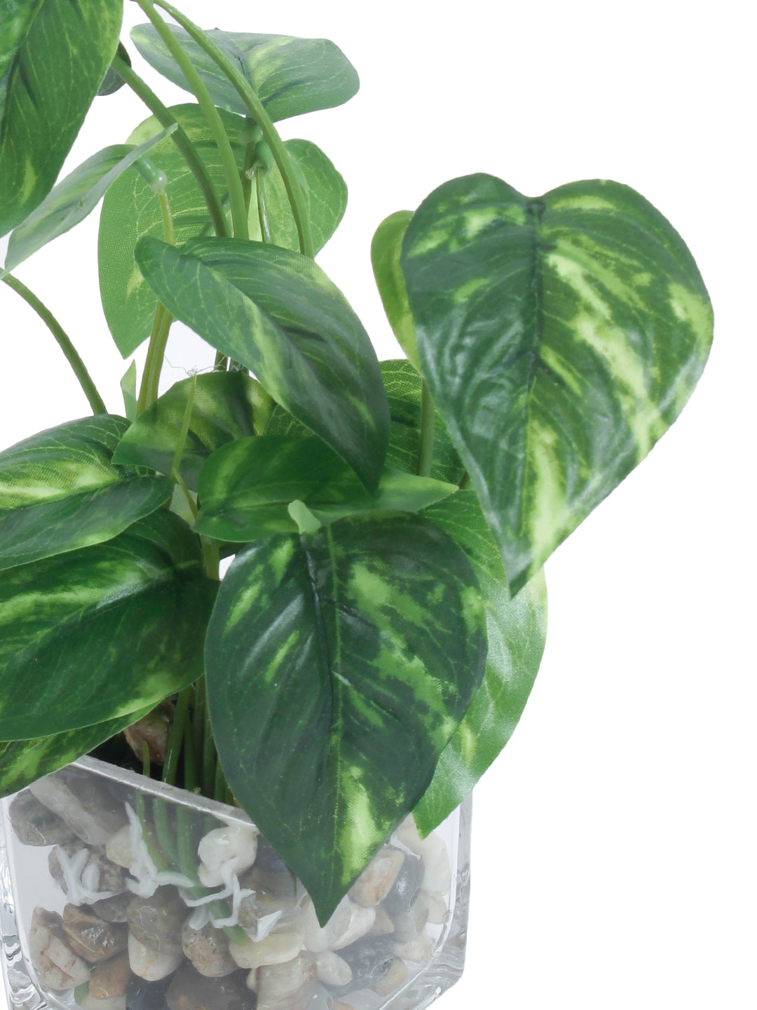 Green and White Artificial Aglaonema Plant with Glass Pot