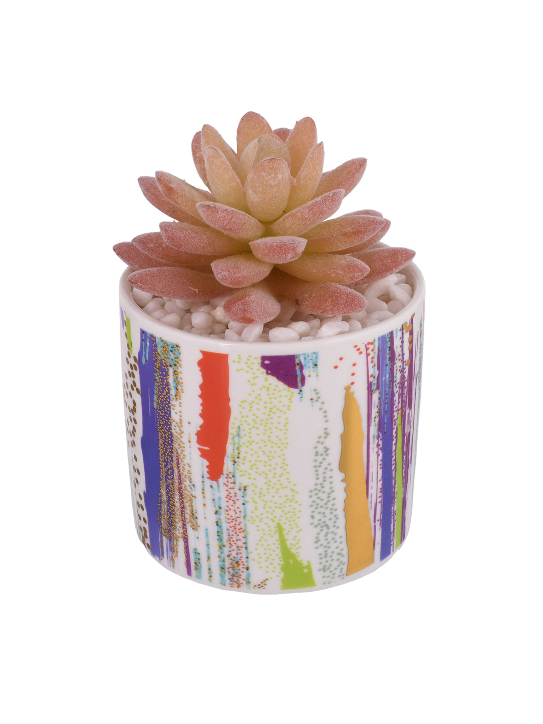 Sucullent Artificial Plant with Vertical Multicolored stripes along with Pot