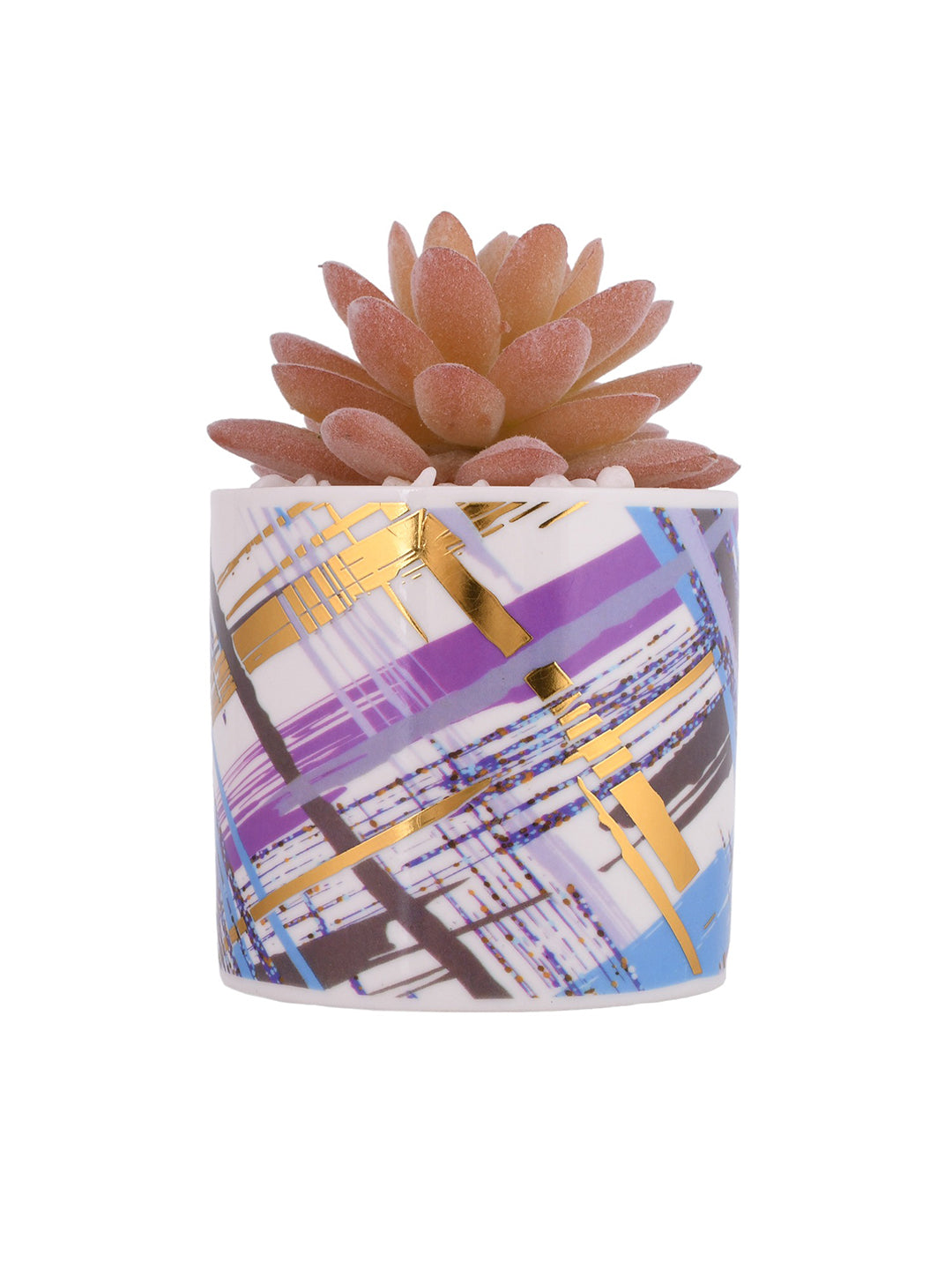 Sucullent Artificial Plant with Multicolored stripes along with Pot