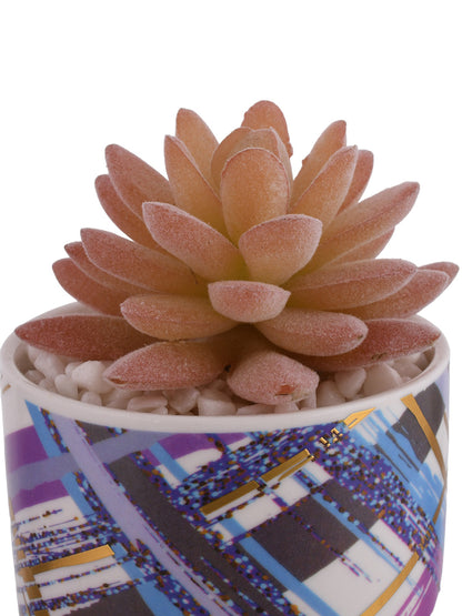 Sucullent Artificial Plant with Multicolored stripes along with Pot