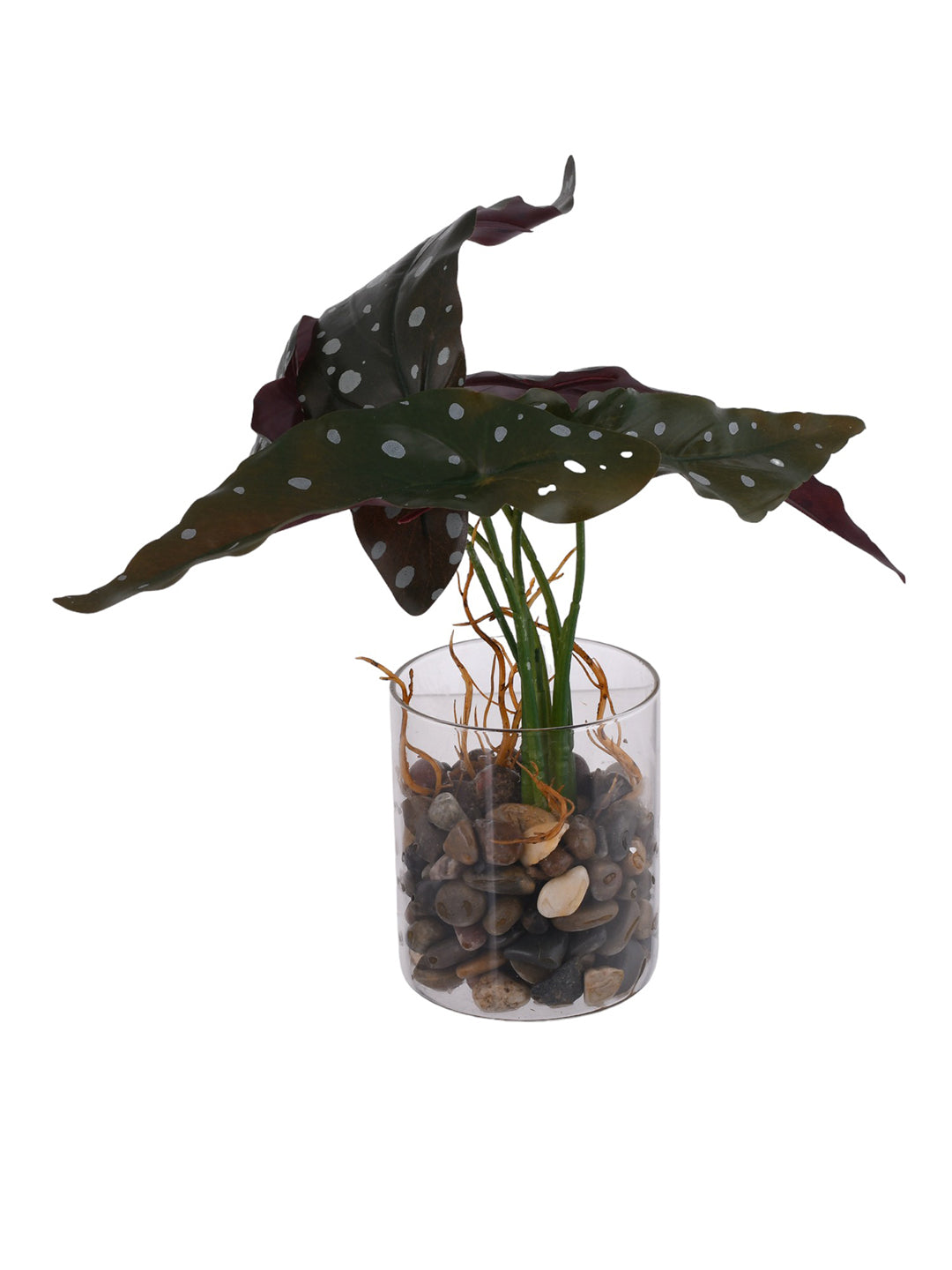 Transparent Glass Planter with Artificial Spotted Begonia Plant