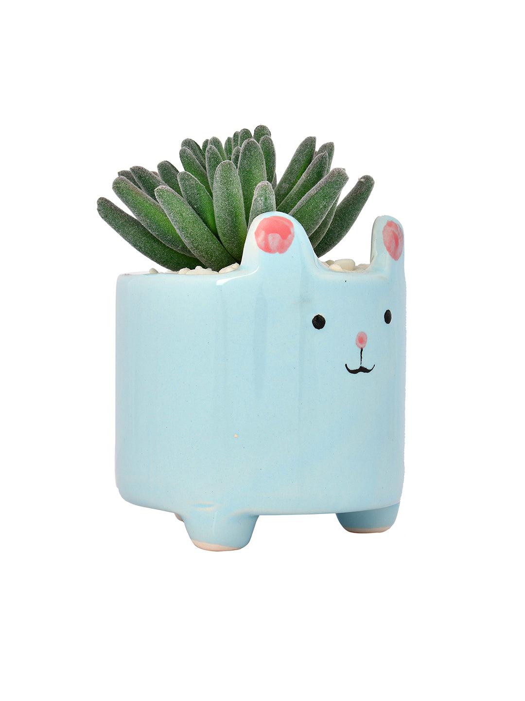 Petite Greens with Cute Cartoon Planter