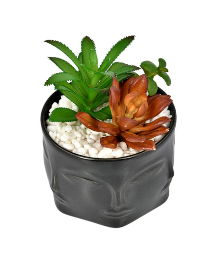 Artificial Succelent Arrangement with Black Planter