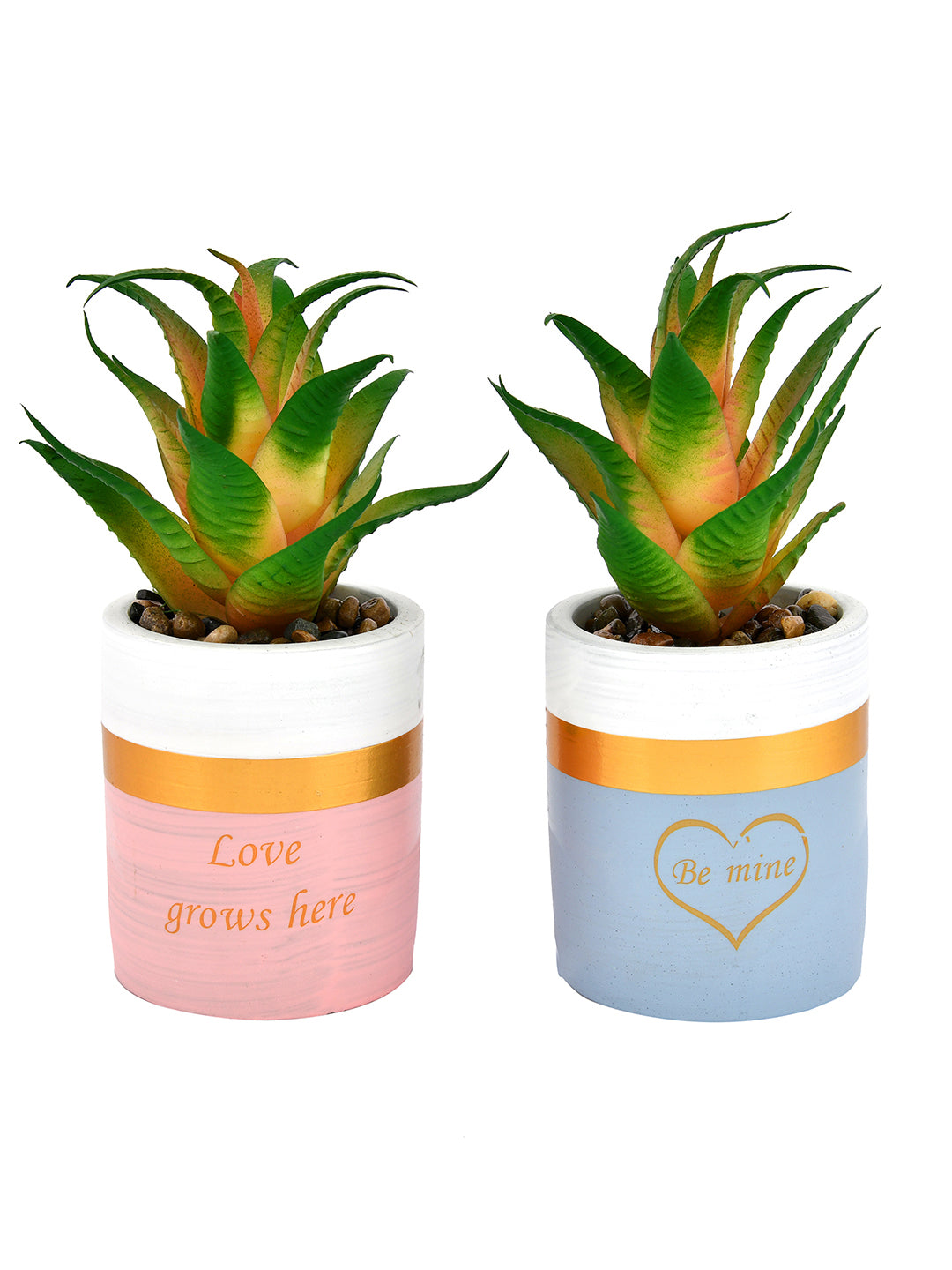 Set of 2 Citrus Delight Artificial Succulent with Planters