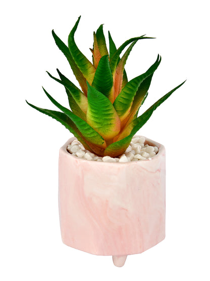 Citrus Delight Artificial Succulent with Pink Planter