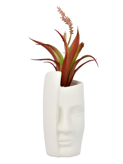 Artificial Red Oasis Plant with White Face Planter