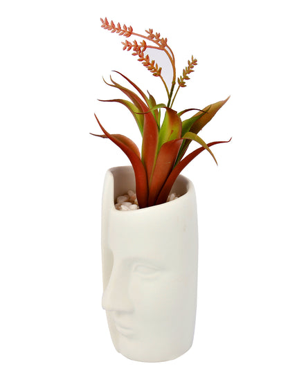 Artificial Red Oasis Plant with White Face Planter