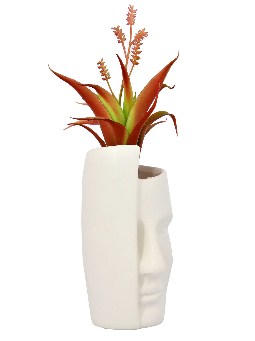 Artificial Red Oasis Plant with White Face Planter