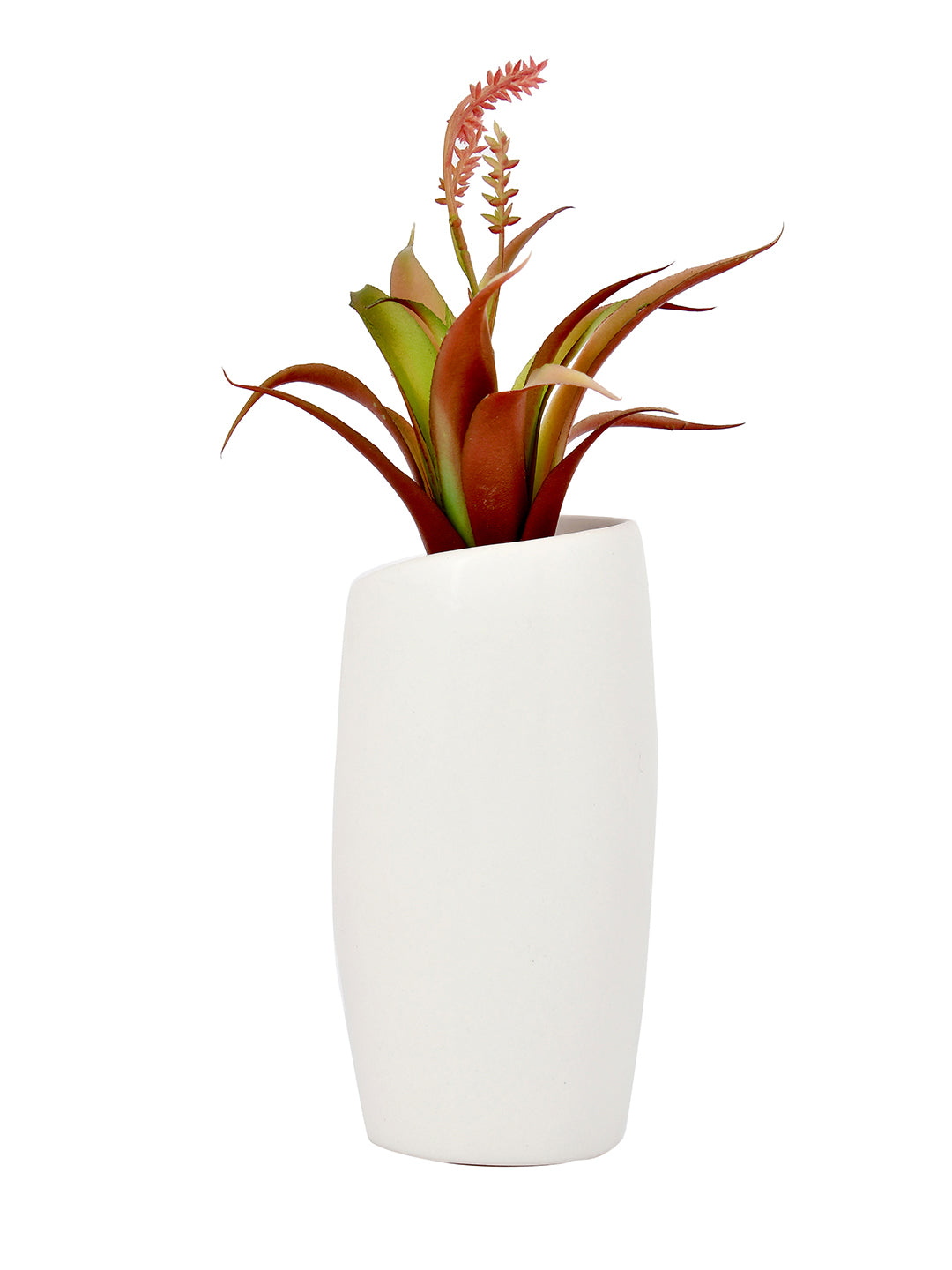 Artificial Red Oasis Plant with White Face Planter