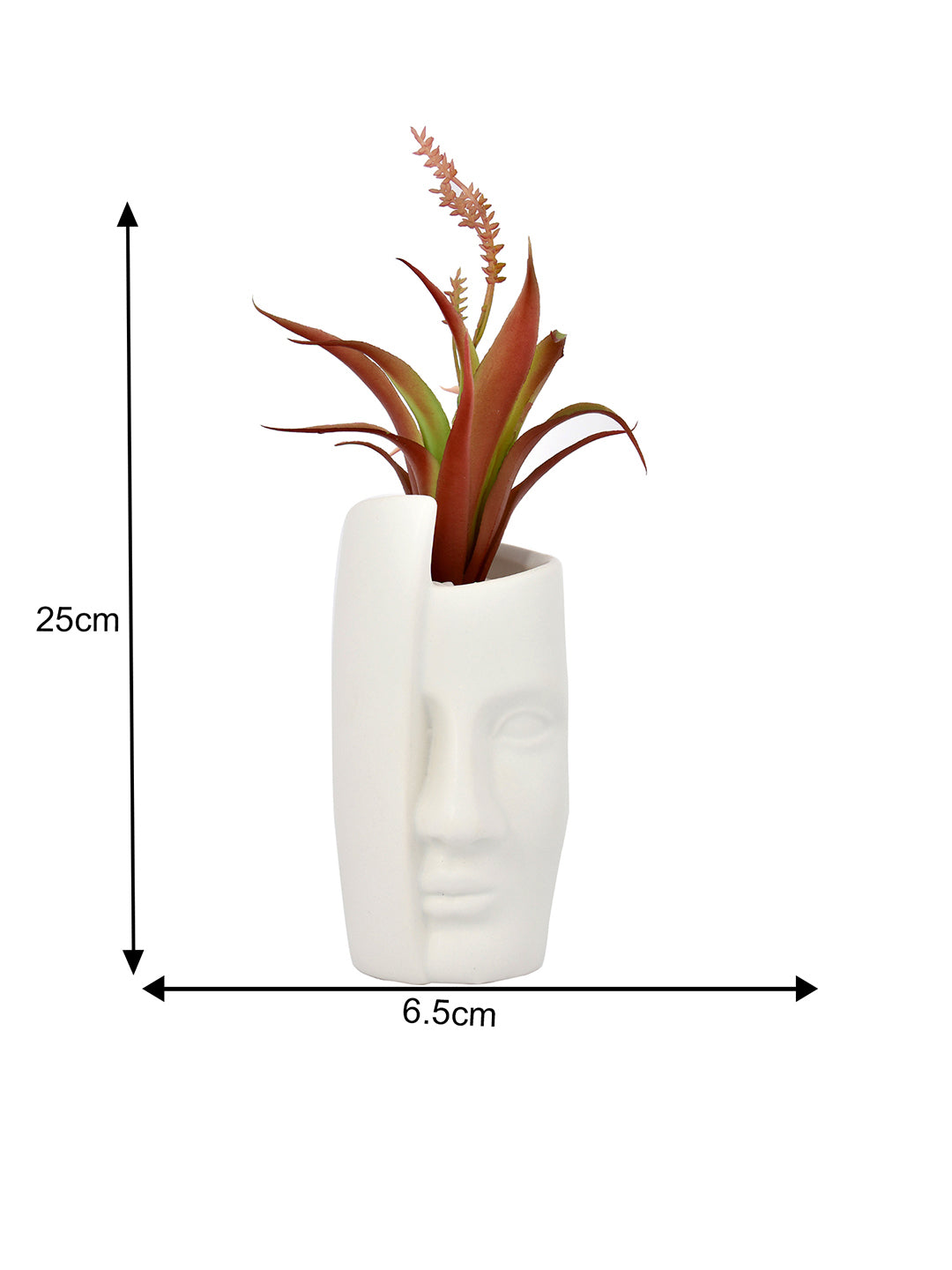 Artificial Red Oasis Plant with White Face Planter