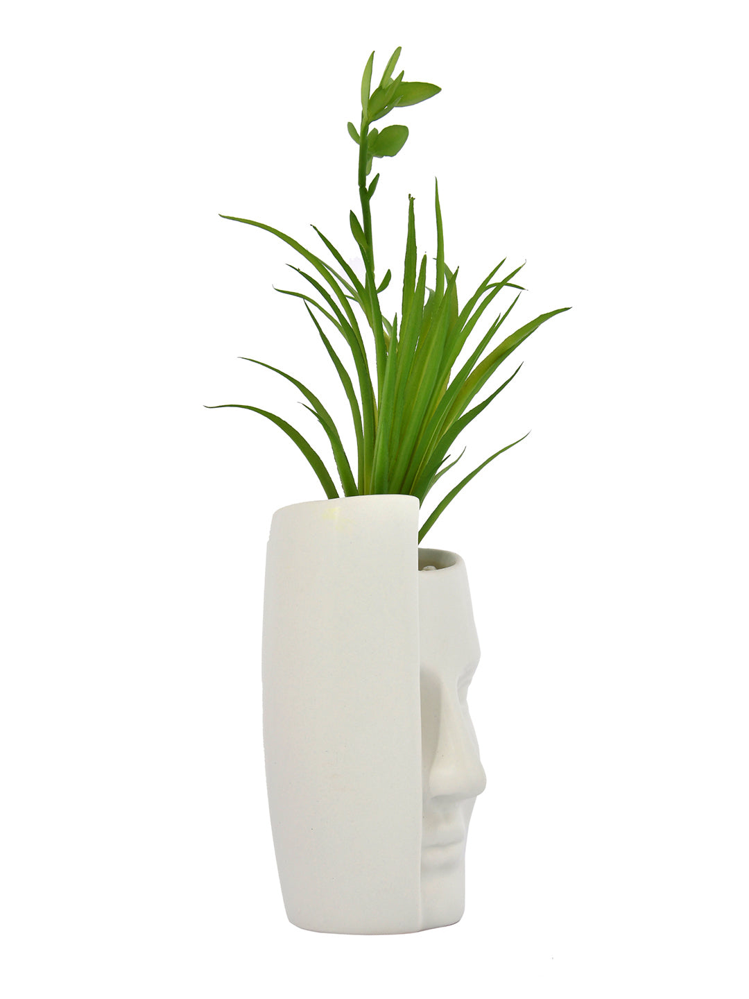 Artificial Green Oasis Plant with White Face Planter