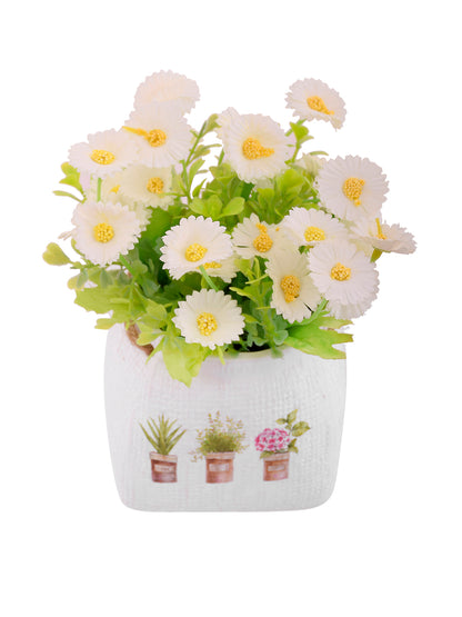 Artificial Common Daisy with Ceramic Pot