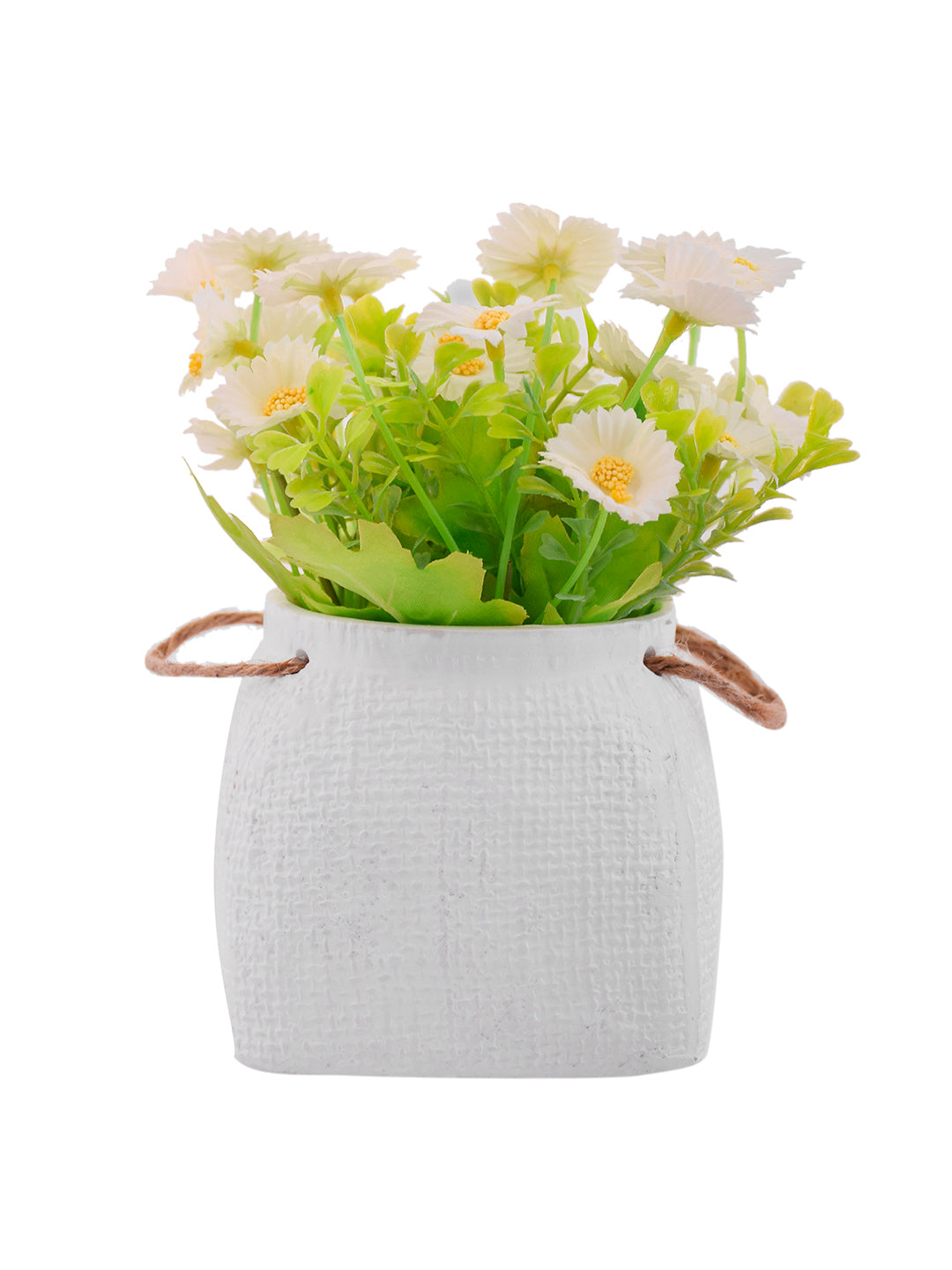 Artificial Common Daisy with Ceramic Pot