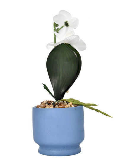 Artistic Blue Face Planter with White Artificial Orchids