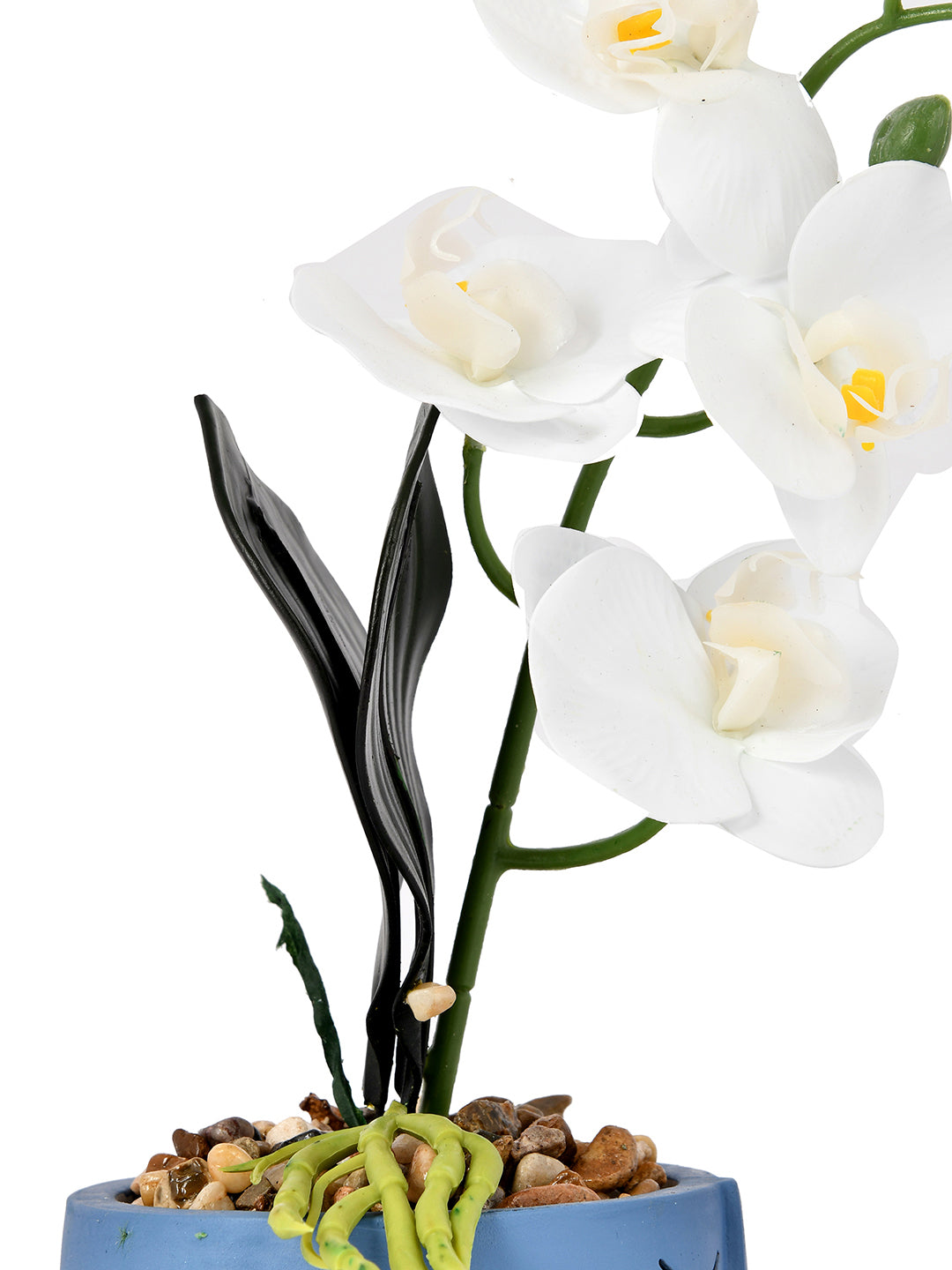 Artistic Blue Face Planter with White Artificial Orchids