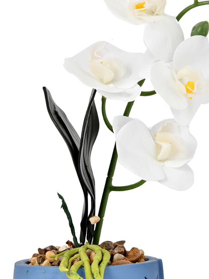 Artistic Blue Face Planter with White Artificial Orchids