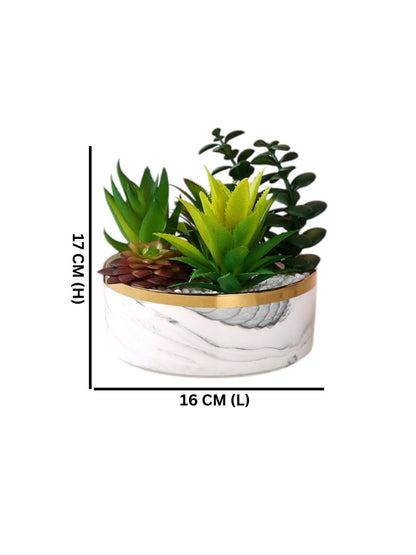 White 1 Pieces Succulent Artificial Plant With Pot