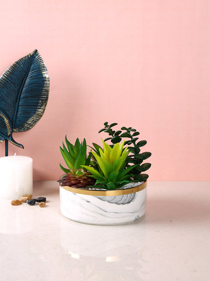 White 1 Pieces Succulent Artificial Plant With Pot