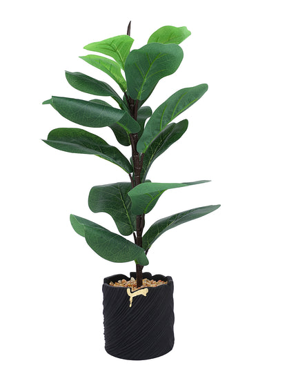Black 1 Pieces Fig Artificial Plant With Pot