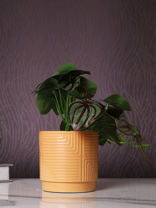 Peach-Coloured 1 Pieces Snake Artificial Plant With Pot