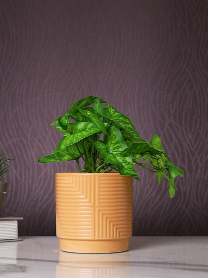 White 1 Pieces Bonsai Artificial Plant With Pot
