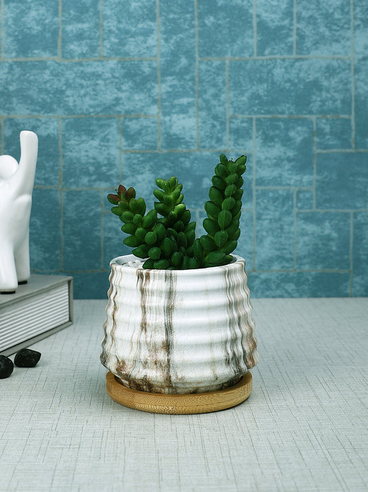 White 1 Pieces Succulent Artificial Plant With Pot