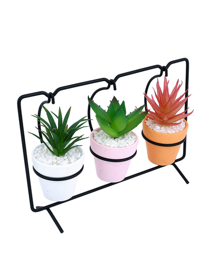 White 3 Pieces Succulent Artificial Plant With Pot