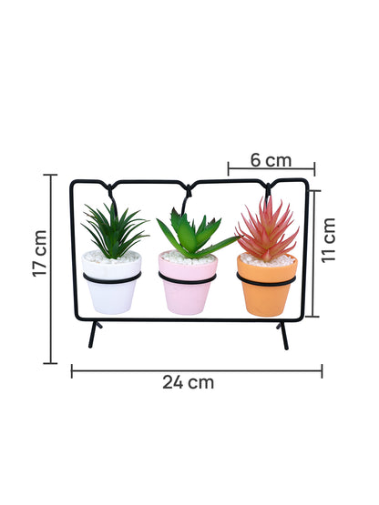 White 3 Pieces Succulent Artificial Plant With Pot
