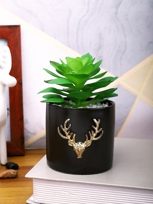 Black 1 Pieces Succulent Artificial Plant With Pot