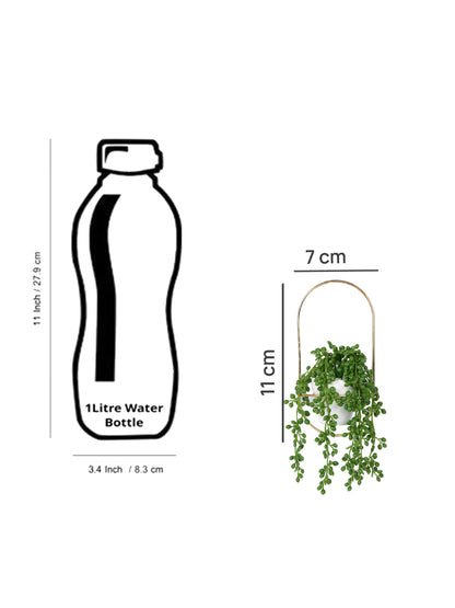 White 1 Pieces Hanging Succulent Artificial Plant With Pot