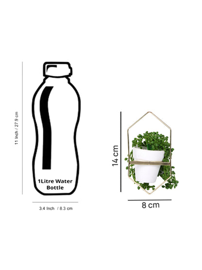 White 1 Pieces Succulent Artificial Plant With Pot