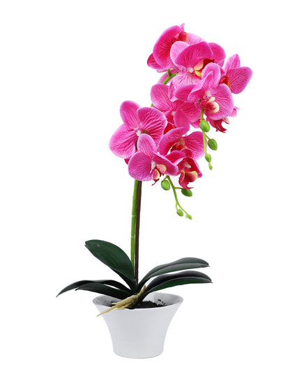 White 1 Pieces Orchid Artificial Plant With Pot