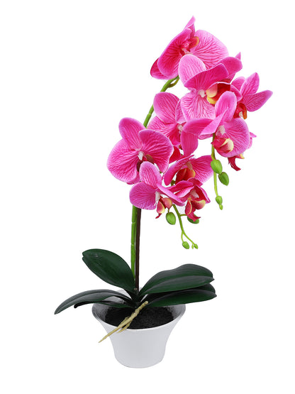 White 1 Pieces Orchid Artificial Plant With Pot