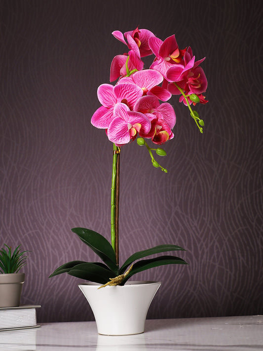 White 1 Pieces Orchid Artificial Plant With Pot
