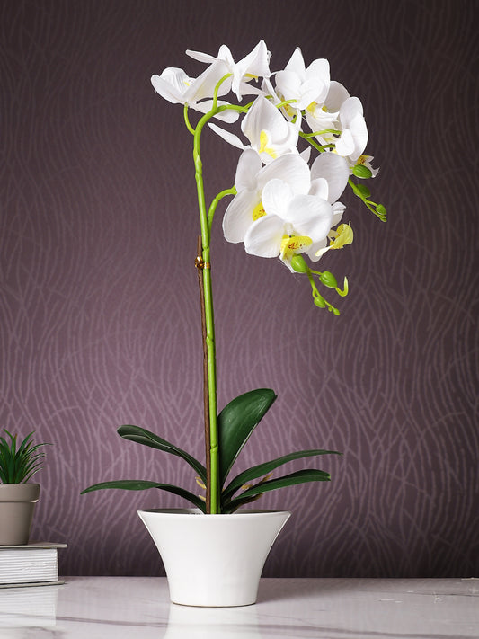 White 1 Pieces Orchid Artificial Plant With Pot