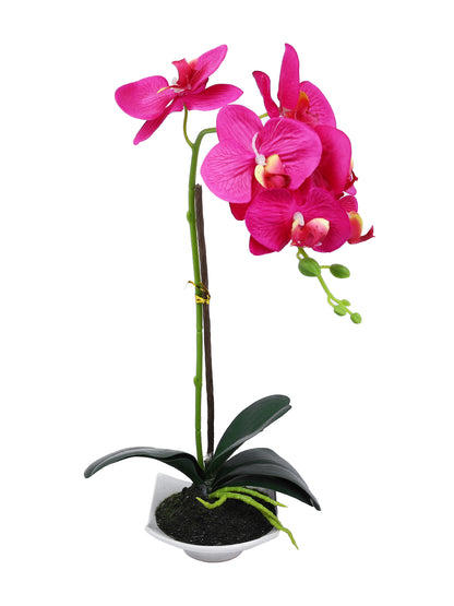 White 1 Pieces Orchid Artificial Plant With Pot