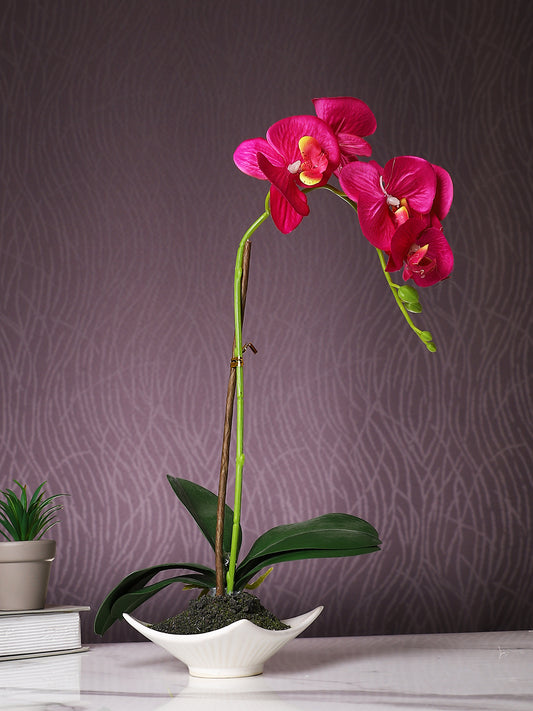 White 1 Pieces Orchid Artificial Plant With Pot