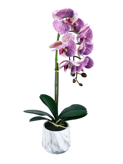 White 1 Pieces Orchid Artificial Plant With Pot