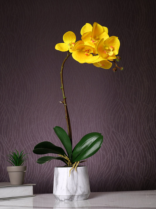 White 1 Pieces Orchid Artificial Plant With Pot