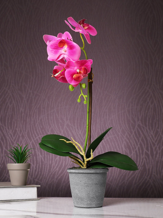 Grey 1 Pieces Orchid Artificial Plant With Pot