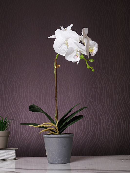 Grey 1 Pieces Orchid Artificial Plant With Pot