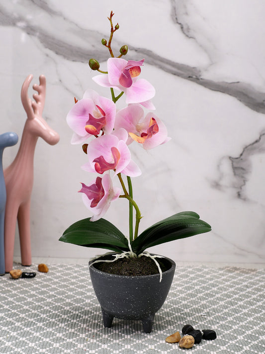 Grey 1 Pieces Orchid Artificial Plant With Pot